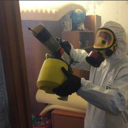 Уничтожение клопов в квартире. Вологда
